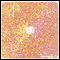 089 Cold Color Diffuser