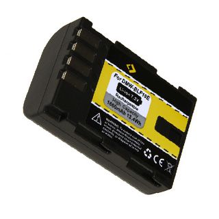 Batria pre Panasonic GH5, G9 (DMW-BLF19)