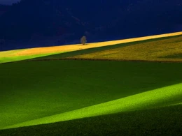 Výstava: Čarovné Slovensko (ZSF) Výstava: Čarovné Slovensko (ZSF)