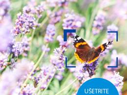 Zeiss Discover Weeks