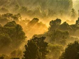 Workshop - Farby jesene