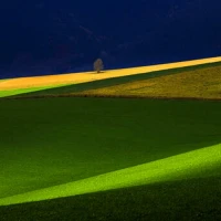 Vstava: arovn Slovensko (ZSF)