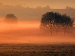 FARBY JESENE 2025 - Fotoplenér ZSF FARBY JESENE 2025 - Fotoplenér ZSF