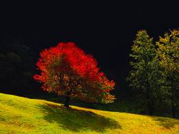 Jesenný fotoplenér Liptov 2021 Jesenný fotoplenér Liptov 2021