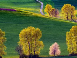 Fotoplen�r Jarn� Liptov