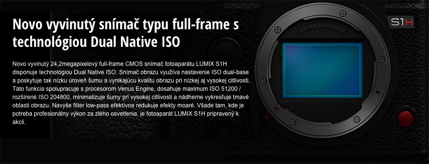 panasonic s1h