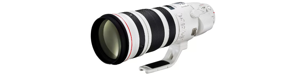 Canon EF 200-400mm f/4L IS USM Extender 1.4x