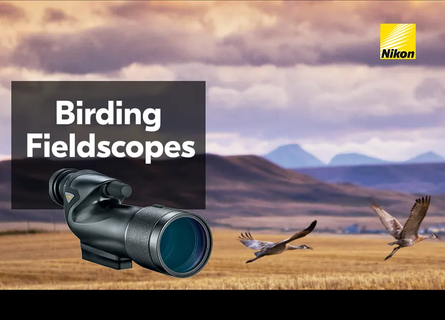 Nikon PROSTAFF 5 Fieldscope 60