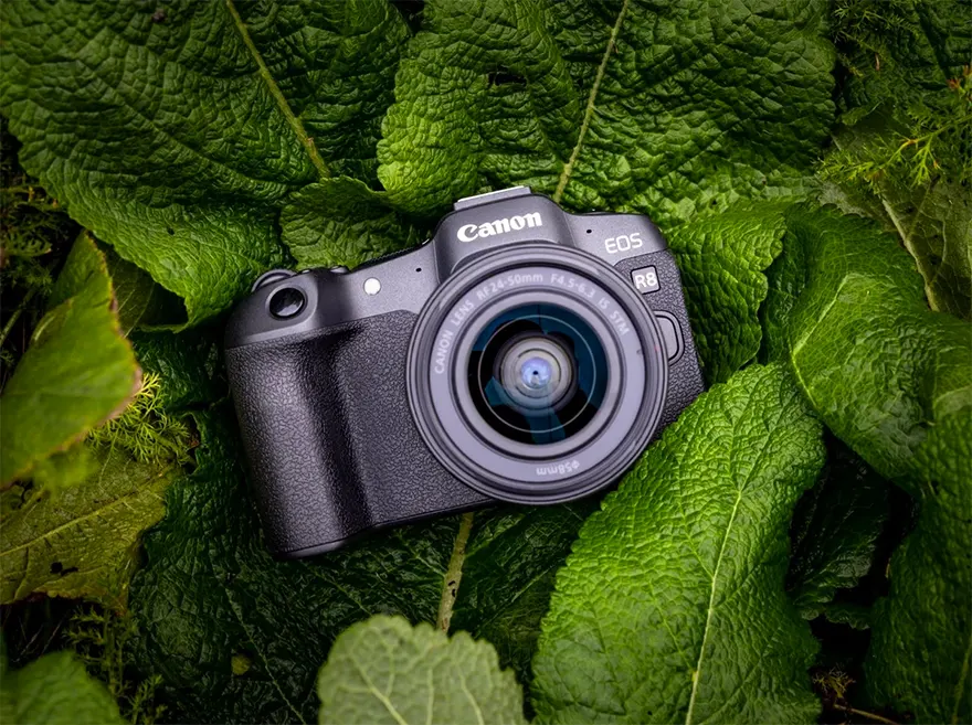 eos r8