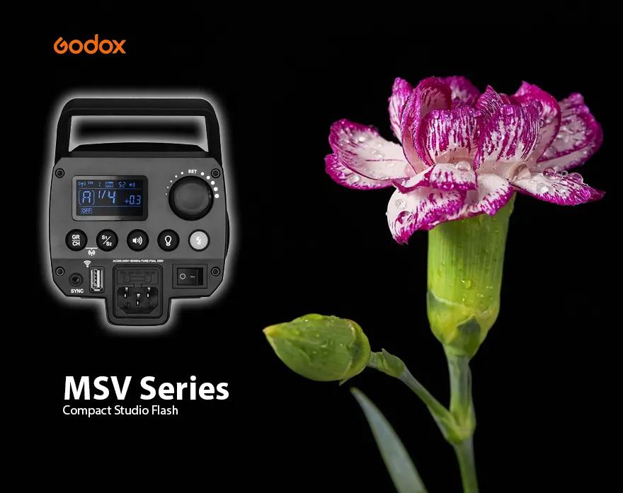 Godox ms