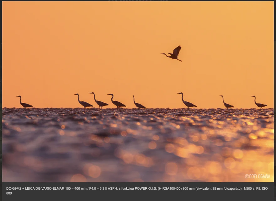 Panasonic Leica DG Vario-Elmar 100-400mm f/4-6.3 II ASPH. POWER O.I.S.