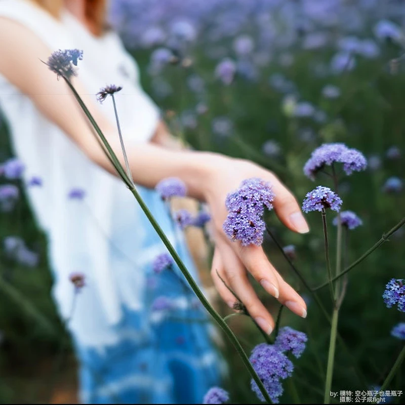 7Artisans AF 24mm F1.8 