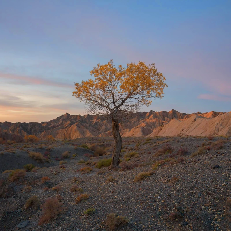 Hasselblad XCD 20-35