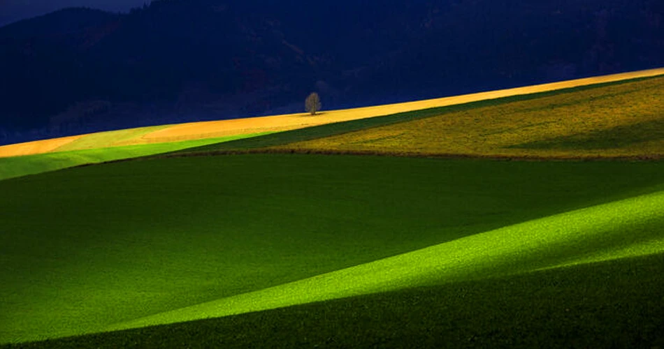 Vstava: arovn Slovensko (ZSF)