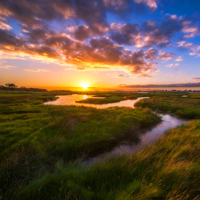  LAOWA 12mm f/2.8 ZERO-D