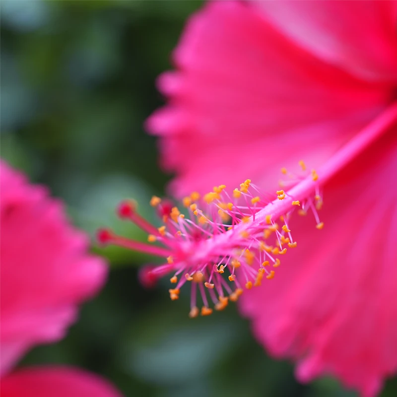 laowa 35mm f2,8 tilt shift