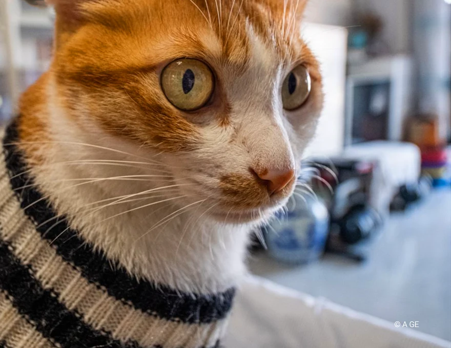 Nisi 15mm f4