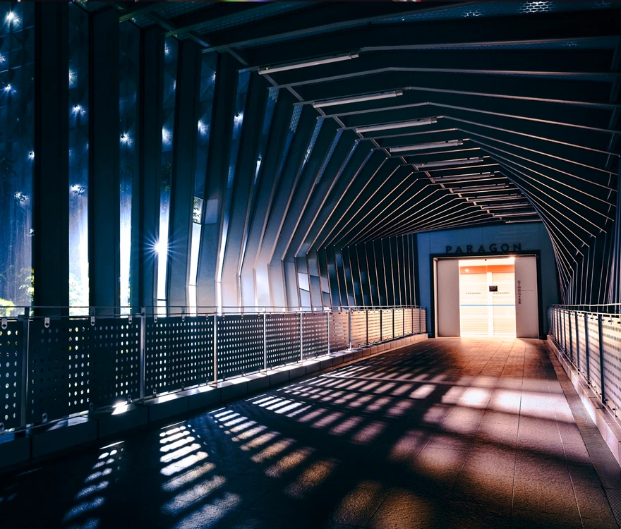 Nikon Z 24 mm F/1.8 S