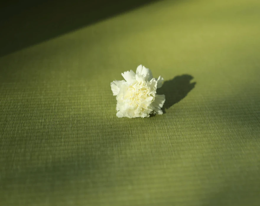 Nikon Z 40mm f2