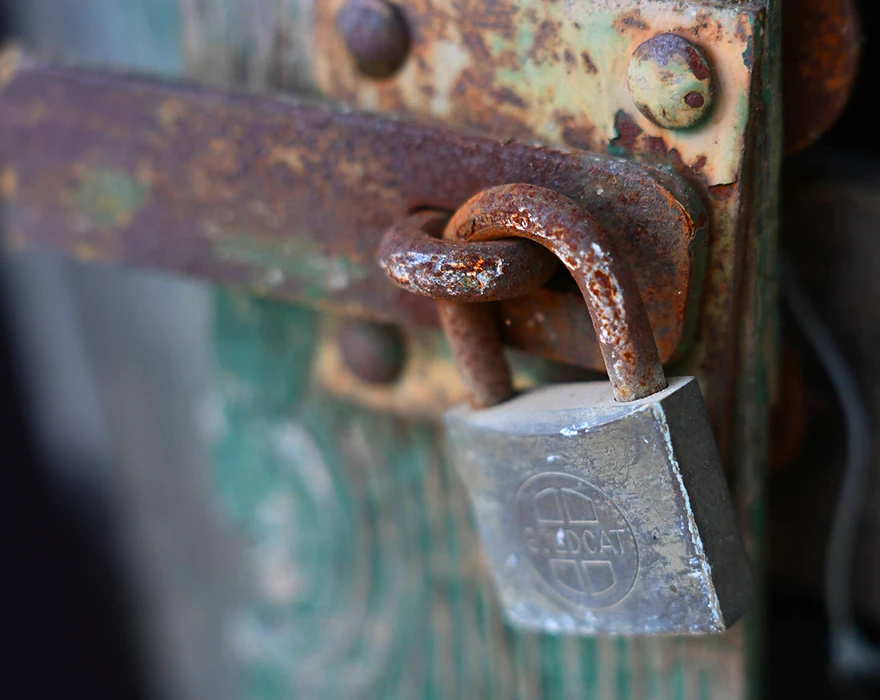 nikon z 50mm