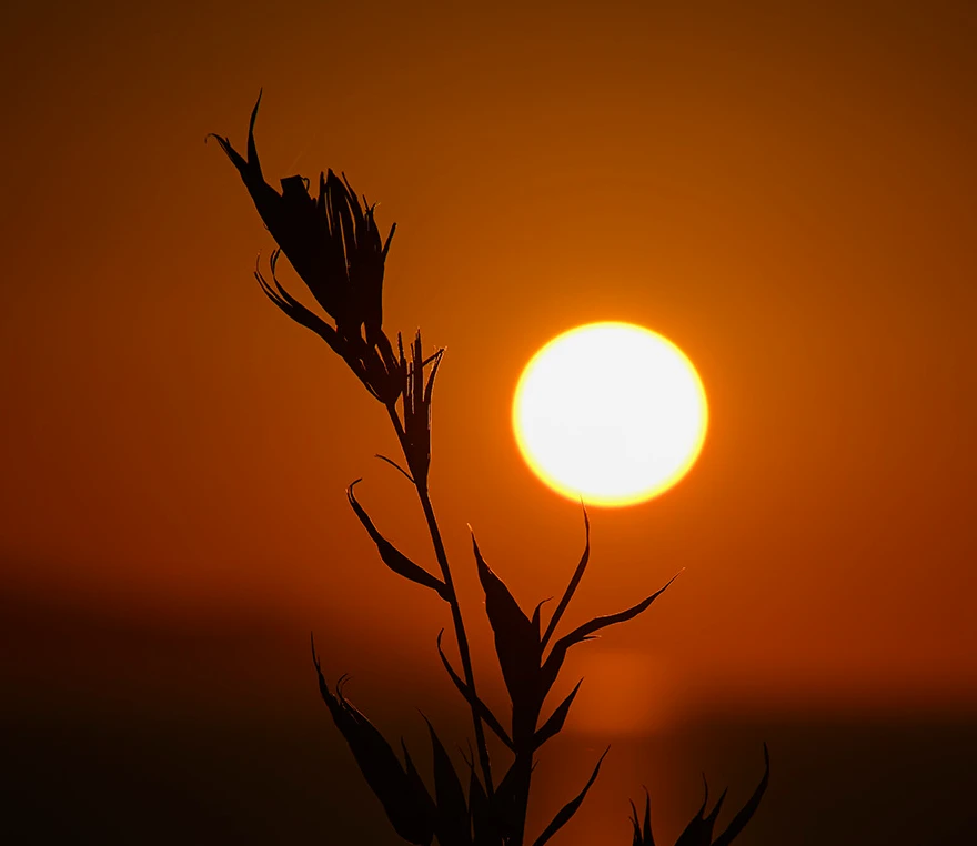 Nikon Z 100-400mm