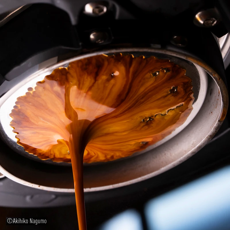 Panasonic LUMIX S 100mm F2.8 MACRO