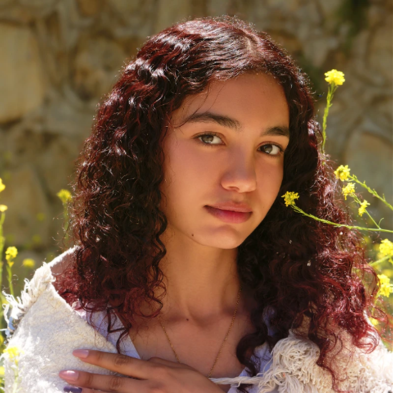 Panasonic Leica DG Vario-Elmarit 35-100mm f/2.8 POWER O.I.S.