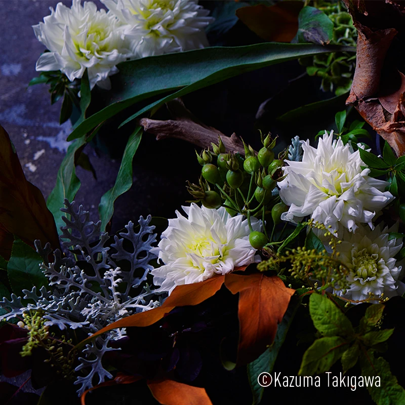 Panasonic Lumix S Pro 50mm f1,4