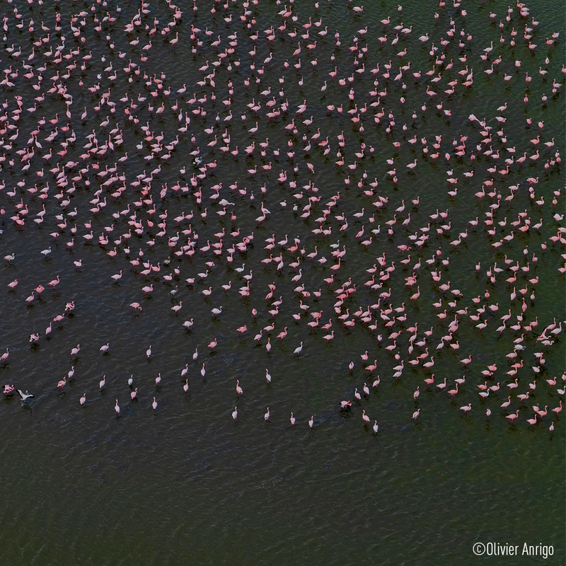 panasonic 70-200 f2,8