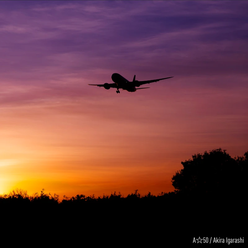 PANASONIC LUMIX S 70-300mm