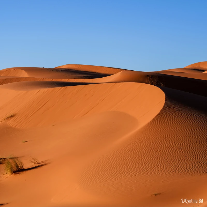 Panasonic Lumix DC-G97