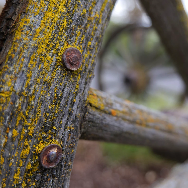 Panasonic Lumix S 20-60mm f3,5-5,6