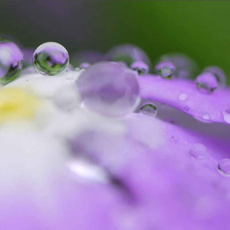 Panasonic LEICA DG MACRO-ELMARIT 45mm / F2.8 ASPH, MEGA OIS