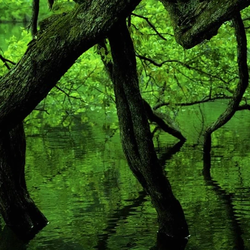 Panasonic Leica DG Vario-Summilux 10-25mm f/1.7 ASPH.