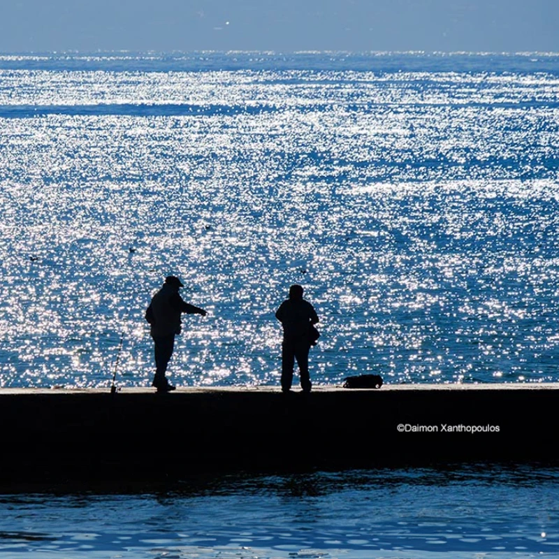 Panasonic 50-200mm F/2,8 - 4,0 ASPH Leica DG Vario-Elmarit Power O.I.S