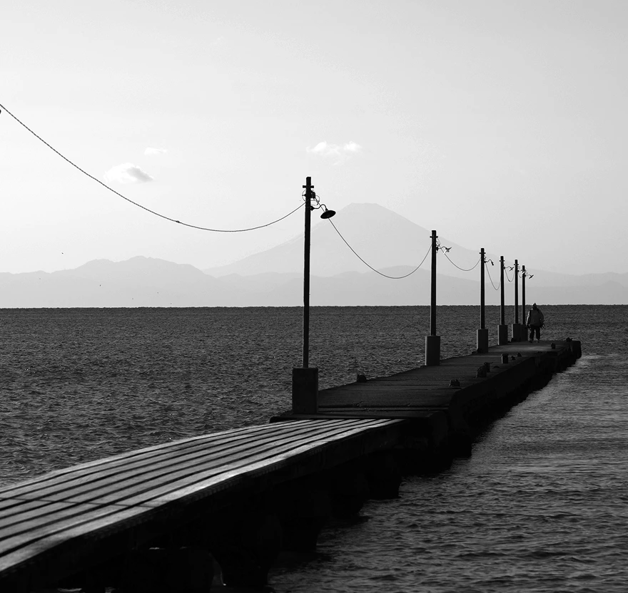 Lumix s1II