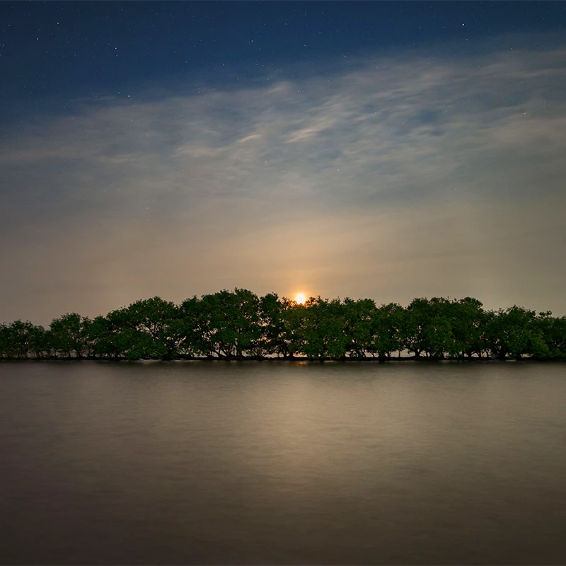 SIGMA 12mm F1.4 DC CONTEMPORARY