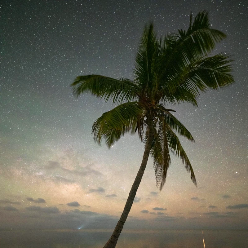 Sigma 14mm f/1.4 DG DN ART