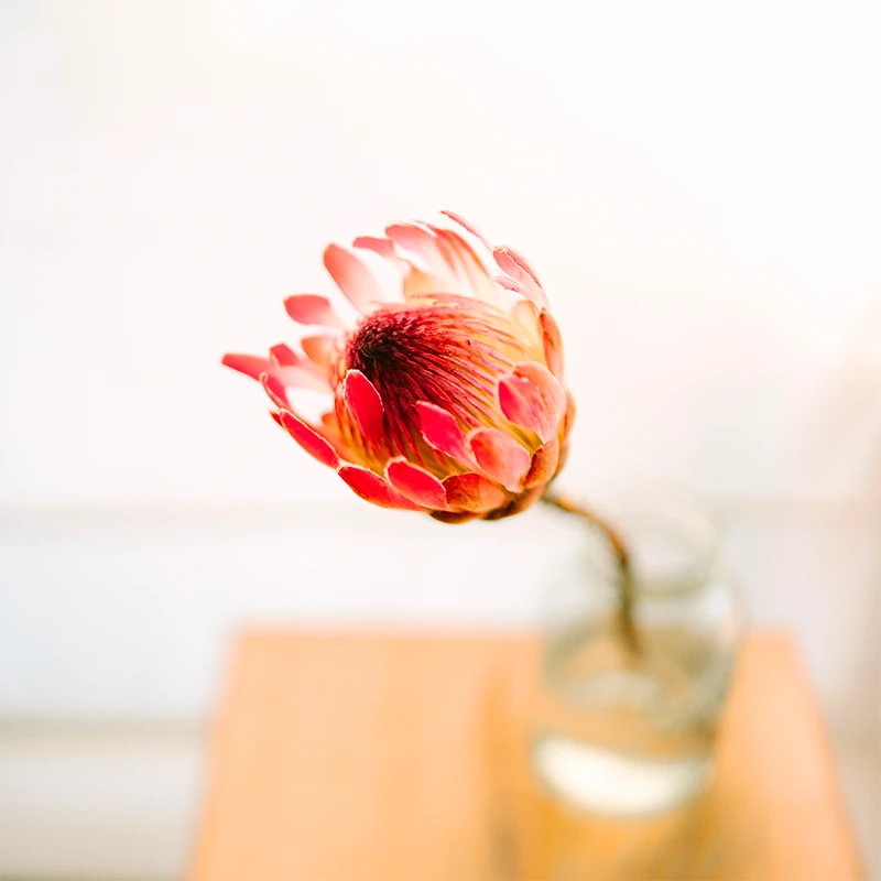 SIGMA 35mm F1.2 DG II Art