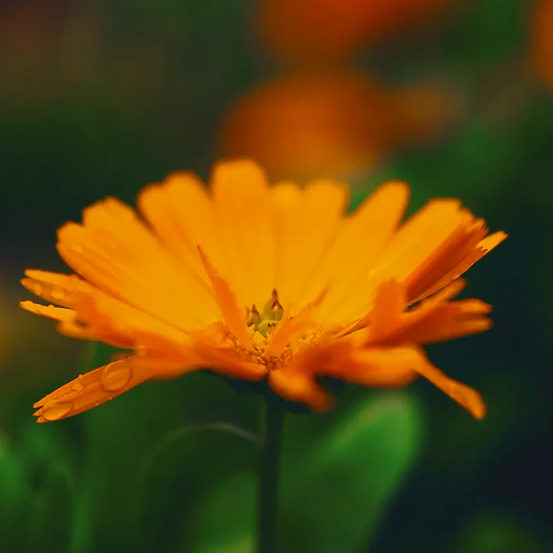 Viltrox AF 27mm F1.2 PRO