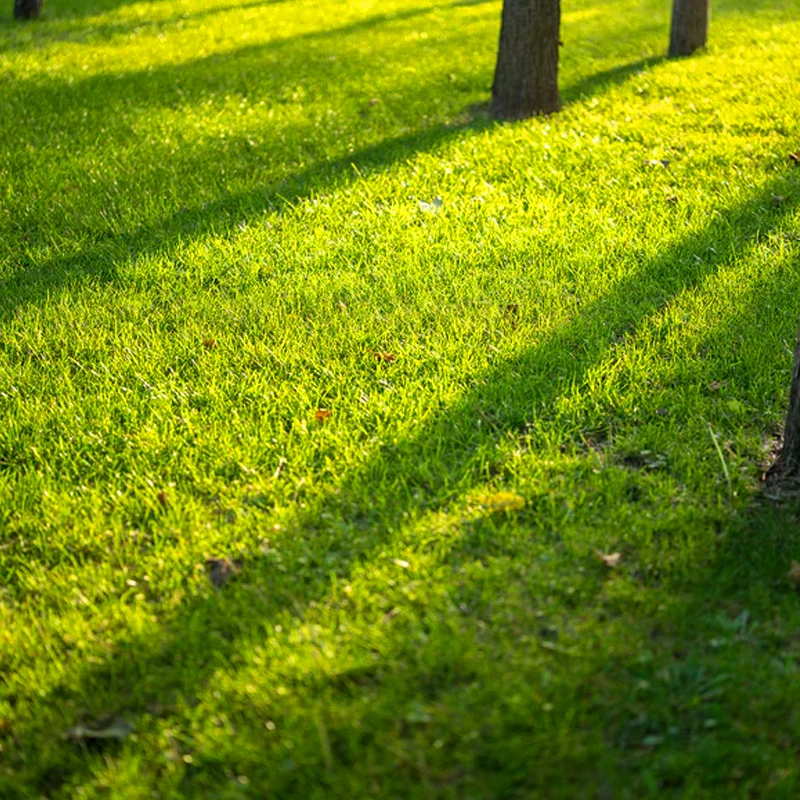 viltrox 50mm f1,4