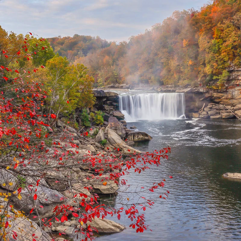 Canon EOS R6 Mark III