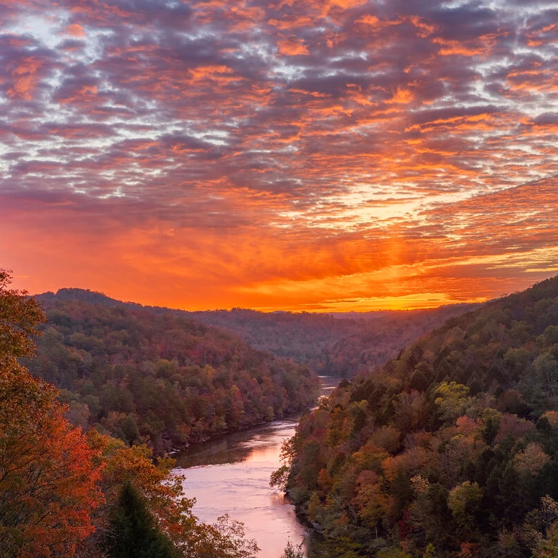 Canon EOS R6 Mark III