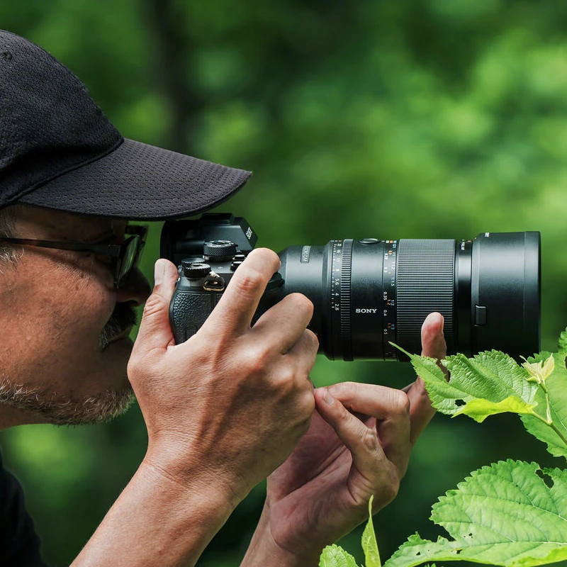 Sony FE 100mm F2.8 Makro GM OSS