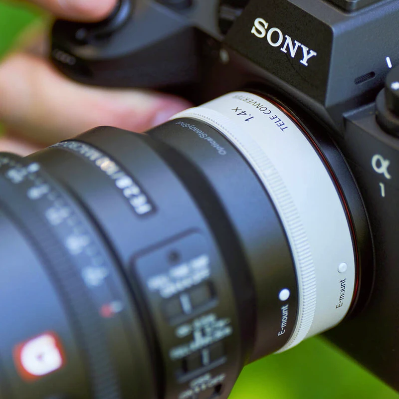 Sony FE 100mm F2.8 Makro GM OSS