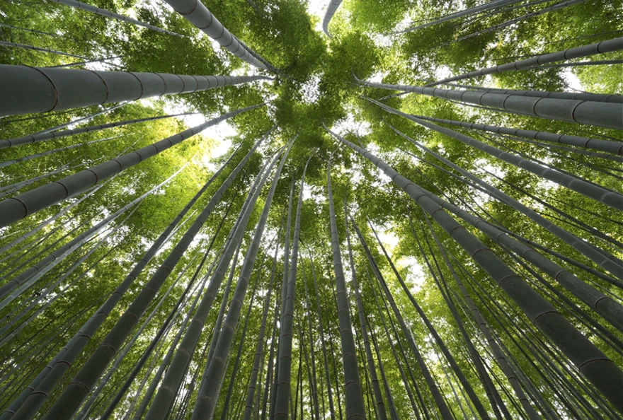 sony fe 16mm f1,8