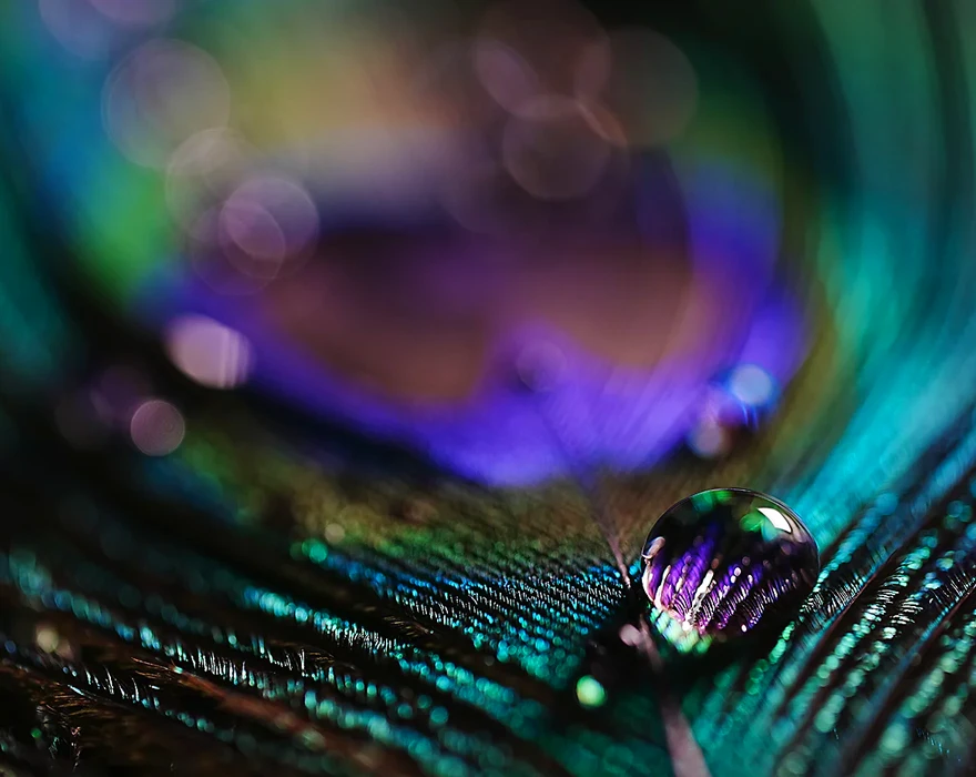 sony fx30