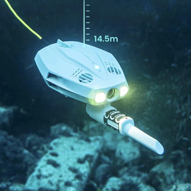 CHASING Dory Explore