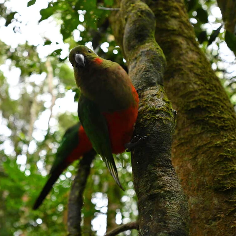 Nikon NIKKOR Z 14 � 30 MM F4 S