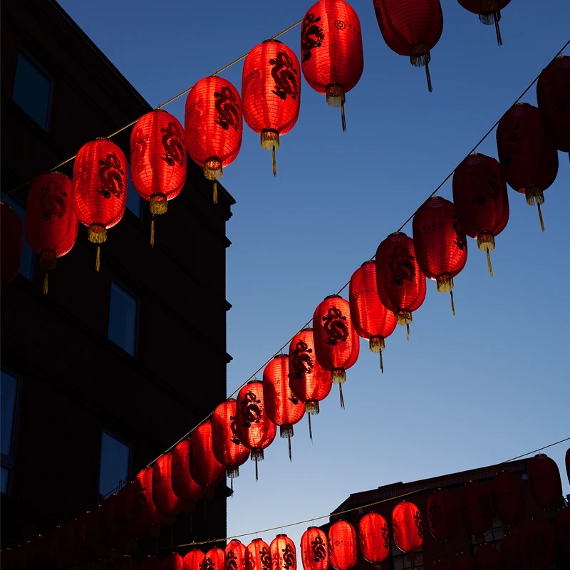 Panasonic LUMIX S 40mm f/2